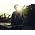 Thumbnail image of Taio Cruz
