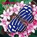 Butterflies 2012 Square 12X12 Wall Calendar (Multilingual Edition)