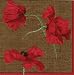 Entertaining With Caspari Dancing Poppies 3-Ply Paper Dinner Napkin, 40-Count, Brown