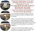 The Incredible Earn More Money, Sales Models and eCommerce for Great Home Business Opportunities On-line Businesses 3 CD Power Pack