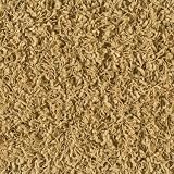 Shaw Super Chic Shag Area Rug Go West Gold