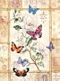 Dimensions Needlecrafts Counted Cross Stitch, Brilliant Butterfly