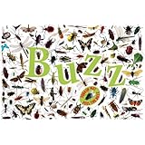 Buzz
