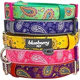 Blueberry Pet Spring Collars 3/4" M Paisley Flower Print Inspired Ultimate Violet Adjustable Basic Neoprene Padded Dog Collar for Medium Dogs