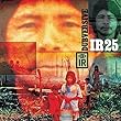 cover of Indigenous Resistance	IR25 - Dubversive