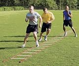 Power Systems 30652 Pro Agility Ladder 15 Ft.