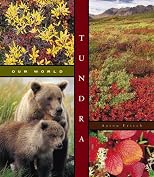 Tundra (Our World)