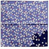 �ȃV�����^���@�ڎO�� ���i�u���[�j