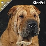 \"Shar
