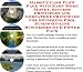 The Fantastic How To Earn Extra Money, Marketing and Success Principles for Swimming Pool Pumps On-line Businesses 3 CD Course