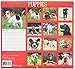 2016 Puppies Calendar - 16-Month Wall Calendar Planner