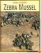 Zebra Mussel (Animal Invaders)