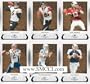2009 Donruss Classics Football Series Complete Mint 100 Card Basic Hand Collated Veteran Players Set. Loaded with Stars Including Adrian Peterson, Reggie Bush, Matt Ryan, Matt Forte, Vince Young, Calvin Johnson, Kurt Warner, Joe Flacco, Matt Leinart, Darren Mcfadden, Joseph Addai, Jay Cutler, Peyton Manning, Brian Urlacher, Steve Slaton, Tony Romo, Eli Manning, Jonathan Stewart, Jamarcus Russell, Tom Brady, Drew Brees, Ladainian Tomlinson and More!