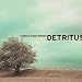 Detritus-Things Gone Wrong