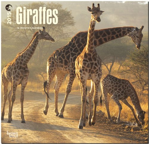 Giraffes 2015 Square 12x12 (Multilingual Edition)