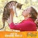 Wellness Trufood Cocochia Bakes Natural Grain Free Cat Treats, Chicken, Beets & Coconut Oil, 3-Ounce Bag