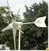 Windmax HY1000-5 1,000 Watt Max 24-Volt 5-Blade Residential Wind Generator Kit