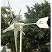 Windmax HY1000-5 1,000 Watt Max 24-Volt 5-Blade Residential Wind Generator Kit