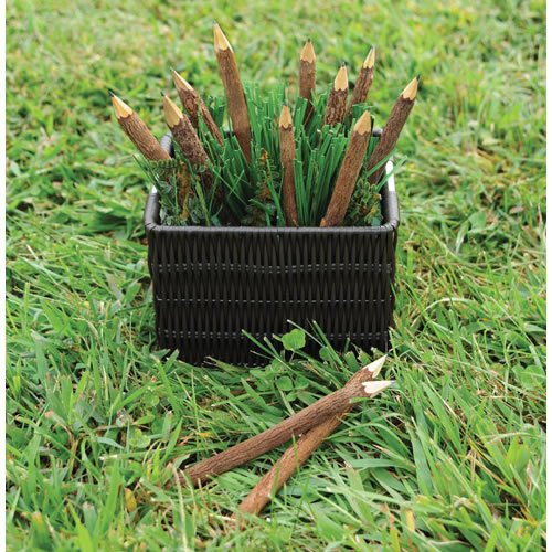 Twig Pencils - Set of 12
