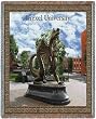 Drexel Univ Throw - 70 x 54 Blanket/Throw - Drexel Dragons