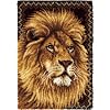 Wonderart Latch Hook Kit 27 Inch x40 Inch -Lion