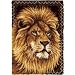 Wonderart Latch Hook Kit 27 Inch x40 Inch -Lion