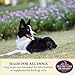 Old Mother Hubbard Classic Crunchy Natural Dog Treats, Original Assortment Mini Biscuits, 5-Ounce Bag