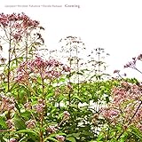 Growing ����������