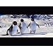 Product Video: Happy Feet-Trailer