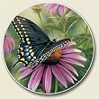 Swardtail Butterfly Auto Coaster, Single Coaster for Your Car