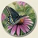 Swordtail Butterfly Auto Coaster, Single Coaster for Your Car