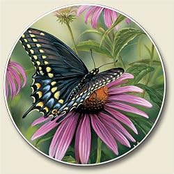 Swordtail Butterfly Auto Coaster, Single Coaster for Your Car