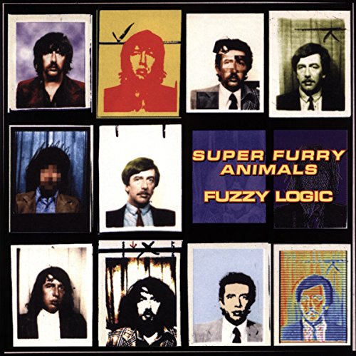 Fuzzy Logic: 20th Anniversary Deluxe Edition