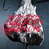 Image of album by Jon Spencer Blues Explosion