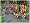 Pro Cycling Manager 2007 - Le Tour de France (PSP)