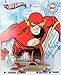 THE FLASH * '70 CHEVELLE SS WAGON * Hot Wheels DC Comics Originals 2011 Nostalgia Series 1:64 Scale Die-Cast Vehicle