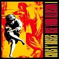 Use Your Illusion V.1