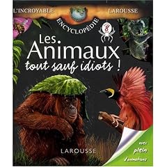 Les animaux, tout sauf idiots !