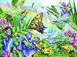 DragonFly Dance 1000pc Jigsaw Puzzle by Lori Schory