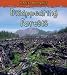 Disappearing Forests (Protect Our Planet)