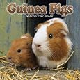 Guinea Pigs Calendars