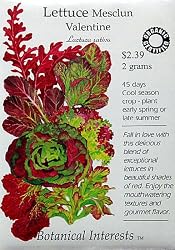 Lettuce Seeds Valentine Blend Certified Organic Seeds 1000 Seeds