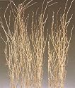 Goldleaf Birch Branches, Pack of 5 - 3 to 4 feet
