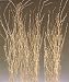 Goldleaf Birch Branches, Pack of 5 - 3 to 4 feet