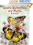 Exotic Butterflies and Moths (Dover Nature Coloring Book)