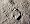 Moonshot: The Inside Story of Mankind's Greatest Adventure