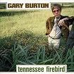 Tennessee Firebird