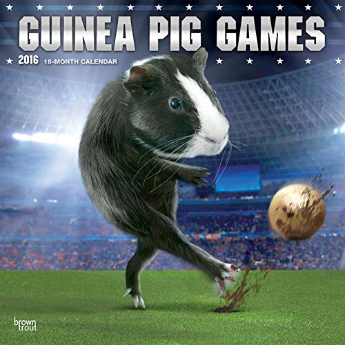 Guinea Pig Games - 2016 Calendar 12 x 12in