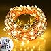 Ledgle Led String Lights,10W Dimmable Copper Wire 66ft 200 LED Party Light with UL certified 5v Power Adapter for Christmas Wedding and Party, Suitable for Indoors or Outdoors
