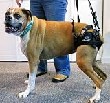 Fabric Walkin' Lift Rear Dog Harness - XXSmall